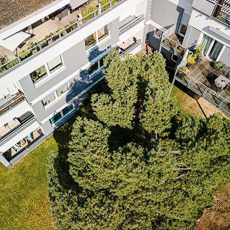 Ferienwohnungen Riese - Weitblick Arnsberg Exteriör bild